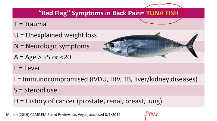 Gp là viết tắt của chữ gì