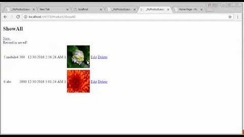 14/18 - Develop a Small Project - ASP.NET MVC - Urdu/Hindi