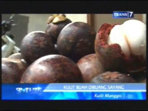 Khasiat Kulit Manggis 