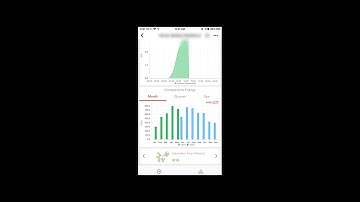 SSL Solaredge Monitoring Tutorial