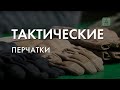 Обзор линейки тактических перчаток Сплав