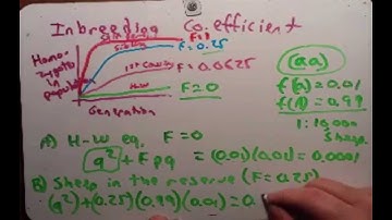 Population Genetics part 2