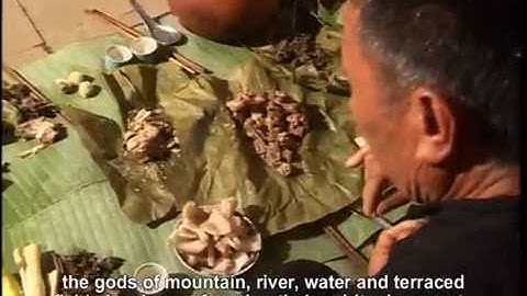 Lễ Mừng Cơm Mới Của Người Xinh Mun - [Lễ Hội Du Lịch Văn Hóa Việt Nam]