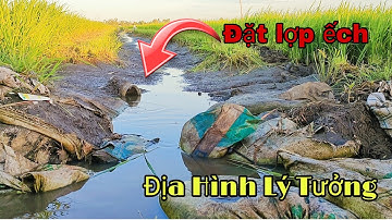 #15 Đặt Lợp Ếch Ở Địa Hình Lý Tưởng Đặt Xuống Là Chạy || Học vlog