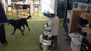 Robot navigation with AutoRL
