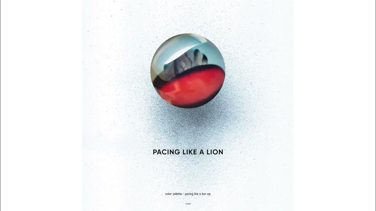 Le retour rugissant de Color Palette avec Pacing Like a Lion Riptide Mag