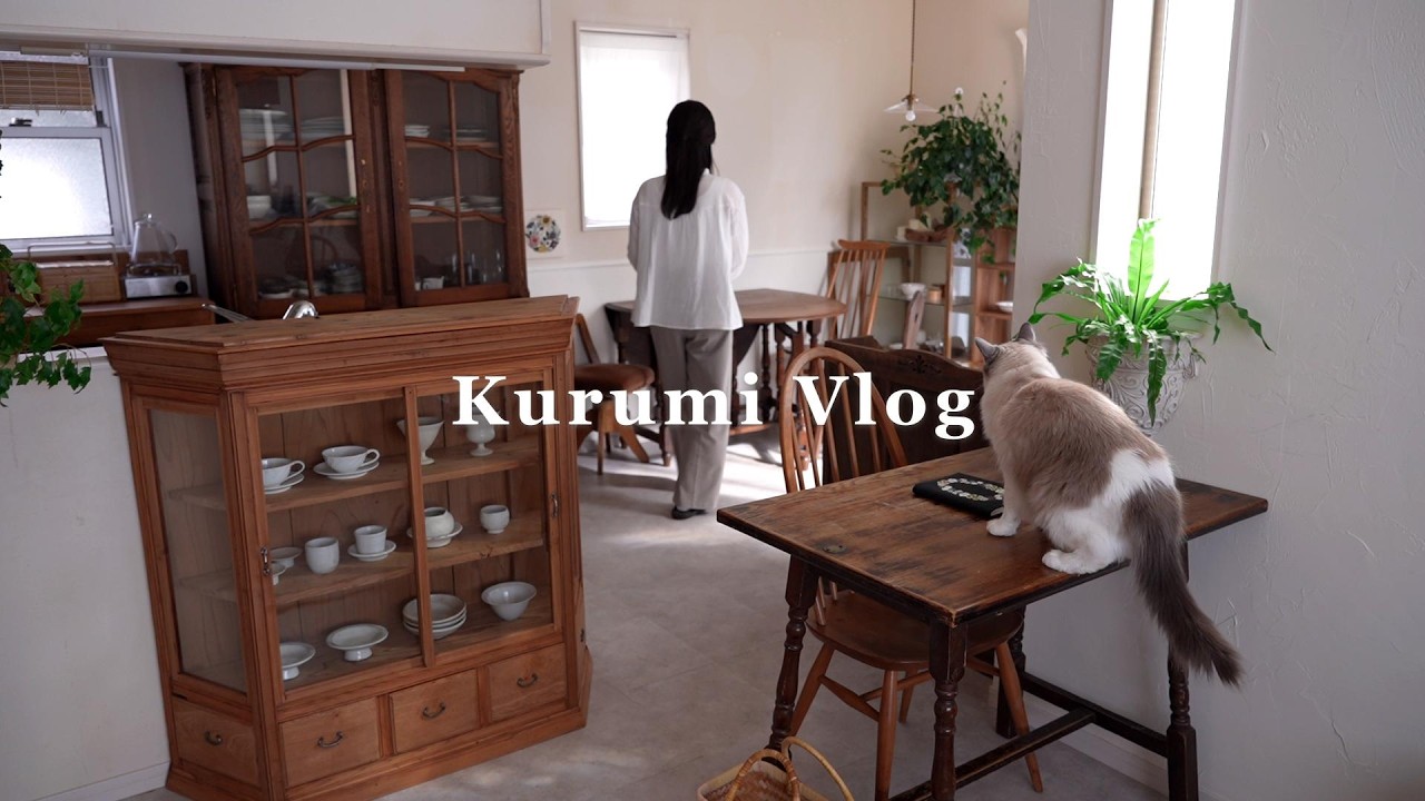 [Видеоблог] Весеннее преображение и садоводство 🌷