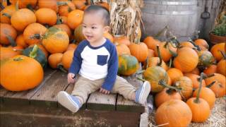 Sam's First Pumpkin Patch & Train Ride