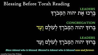 Torah Blessings - Prayer Video - Cantor Ross Wolman