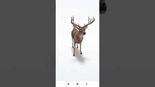 3d deer 🦌