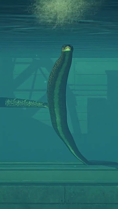 TITANOBOA RELEASE ANIMATION - Jurassic World Evolution 2 (mod)