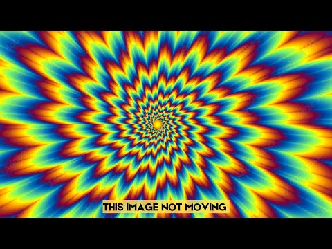 10 Optical Illusions That Will Make You Doubt Your Own Eyes by KnowledgeSnap