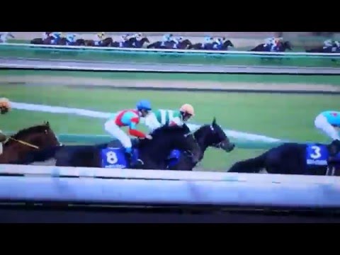 第60回有馬記念（GI）　ゴールドアクター優勝