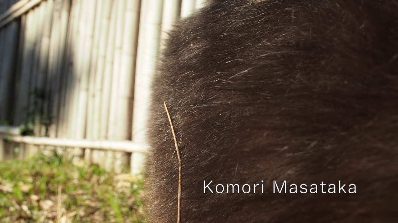 早朝、朝日を浴びる