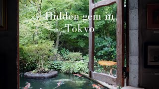 A peaceful HIDDEN GEM in Akiruno Tokyo | Japan summer vlog