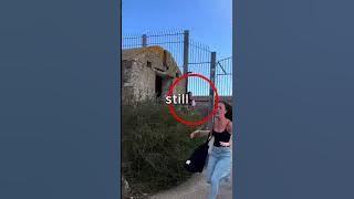 This monkey was trying to steal from them 😳 (isaacbradshaw45 via IG)