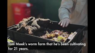 Crowdink Goes To The Zoo