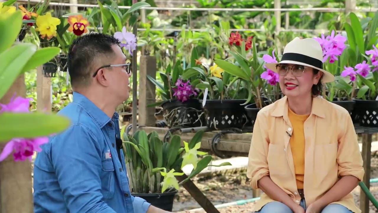 ธุรกิจกล้วยไม้ในมุมของสวนกล้วยไม้ลุงหงวน(5-12-63)1/3