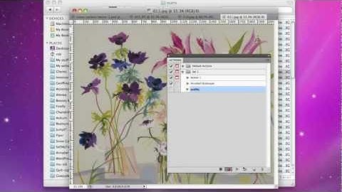 Creating an image gallery using NextGEN Gallery plugin and WordPress