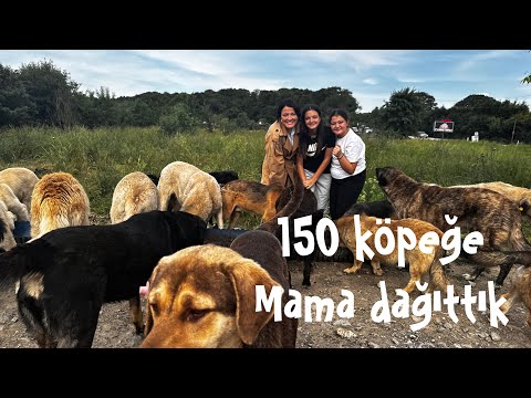 150 KÖPEĞE MAMA DAĞITTIK/ MASAL VE ÖYKÜ İLE TATLI ANLAR