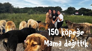 150 KÖPEĞE MAMA DAĞITTIK/ MASAL VE ÖYKÜ İLE TATLI ANLAR