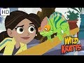 Wild Kratts - How to Protect Endangered Animal Species