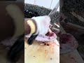 Amazing fish cutting 😻😻#fishcutting #viralvideo #foryou
