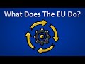 What Has the EU Done For Us?