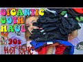 CRAZY BIG Vintage Hot Topic Haul! | Goth and Powerpuff Girls!