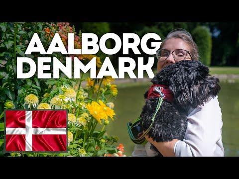 Video: Perolehan Berharga Untuk Copenhagen