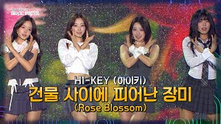 [미방분] H1-KEY (하이키) - 건물 사이에 피어난 장미 [2025 APEC 뮤직페스타] | KBS 방송