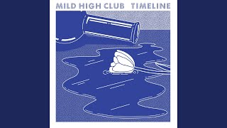 Video thumbnail of "Mild High Club - Note to Self"