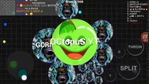 Blob io epic popSplit Runsplit