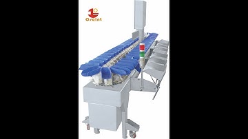 Automatic chicken seafood chicken carcass auto weight grading sorting machine