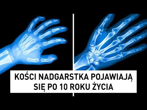 24 powody, dla których ludzkie ciało jest naprawdę wyjątkowe