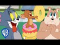 Tom y jerry en latino  pelea con donas  wb kids