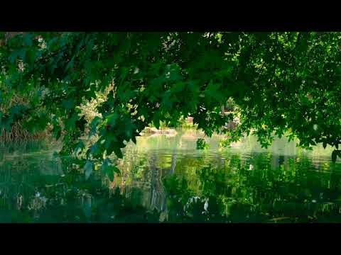 Теилим. Псалмы на 1й день месяца