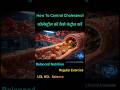 How to control cholesterol? | Liver &amp; HDL LDL Balance Explained