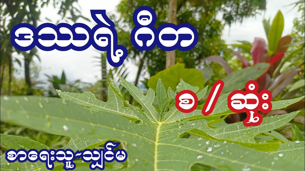 ဒဿရဲ့ ဂီတ ( စ / ဆုံး ) စာရေးသူ-သျှင်မ