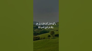 سورة فاطر: القارئ اسلام صبحي