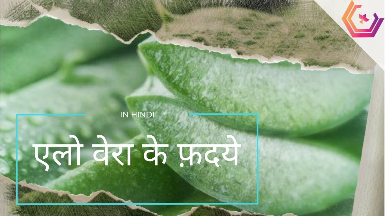 Aloe Vera In Hindi Benefits And Uses Of Aloe Vera Juice And Gel