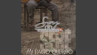 Video thumbnail of "Chaqueño Palavecino - Mi Pago Querido"