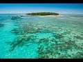 Big cat cruises  green island day trips  experience oz