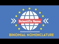 Decoding Scientific Names in Biology and World Languages