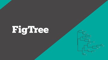 Bioinformatics: FigTree | How to visualize phylogenetic trees? | BioCode Ltd