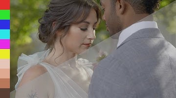 Color Accurate V-Log Conversion LUT for Panasonic LUMIX S Cameras