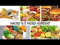 Macro v/s Micro Nutrient ఏది ముఖ్యమైనది ? | #nutrition #fitness #The Power of Nutrition |
