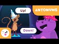 Antonym Magic Quiz