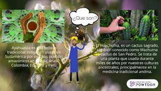 Plantas medicinales screenshot 5