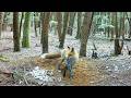 Red Fox Mom Catches Fish, Chickens & More for Her 7 Pups